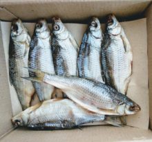 Где купить вкусную астраханскую воблу? Вобла Астраханская